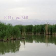 û